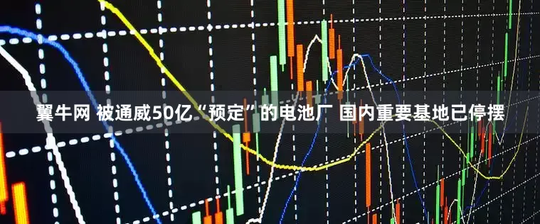翼牛网 被通威50亿“预定”的电池厂 国内重要基地已停摆
