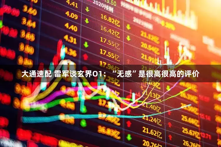 大通速配 雷军谈玄界O1：“无感”是很高很高的评价