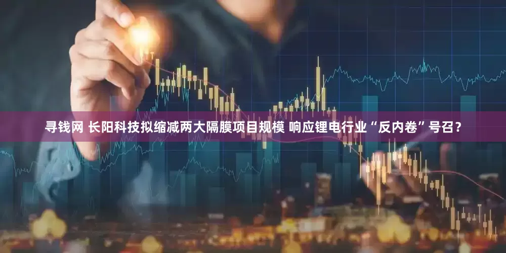 寻钱网 长阳科技拟缩减两大隔膜项目规模 响应锂电行业“反内卷”号召？