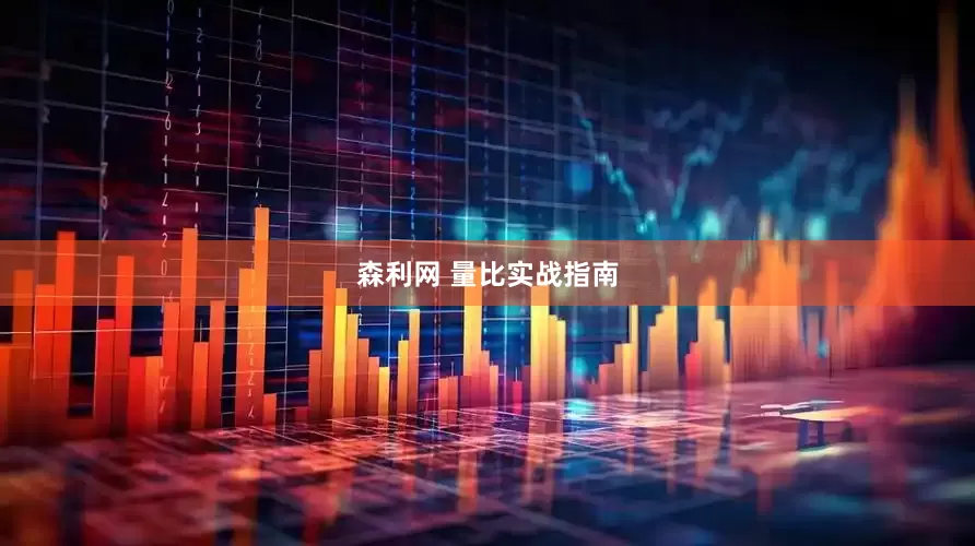 森利网 量比实战指南
